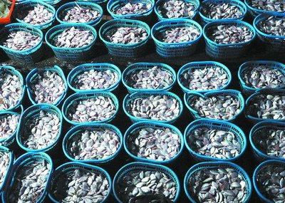 福建十大美丽海岛拍摄活动今天全部结束