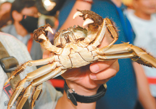 ��բз����ű���3�츾�˳��¶��ݿ�����