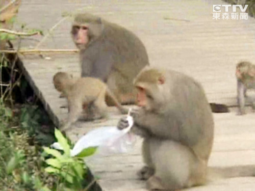 ̨���ֺ�͵�Է��ѹ�ũ������������ͼ��