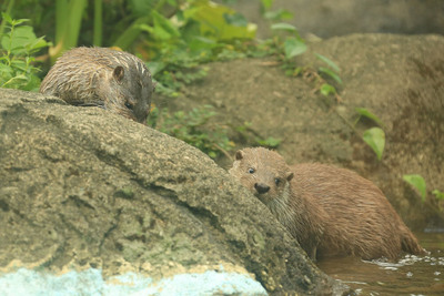 Сˮ̡�ع���Ŷ�Ƭ����������ͼ��