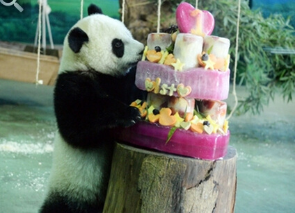 ̨�������ø��Բ�С���������ˣ��ͼ��