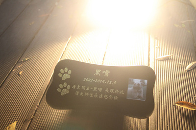 台湾清华“校狗”离世学生开追思会造墓碑纪念(图)