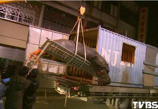 台湾“跳车”河马未得妥善安置引网友挞伐(图)