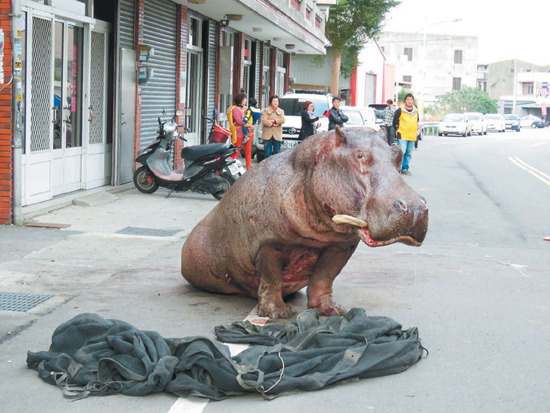 �����������֮������̨��Сȷ��