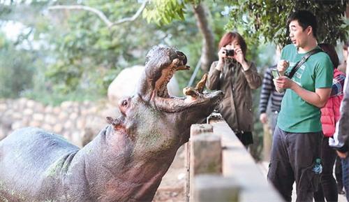 ���ﱣ���߱�׼̨���������ﲻ��ɳ