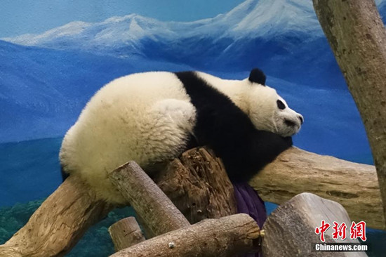 点图查看下一页