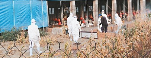 ����������ʧ�ر���̨ѧ�ߣ�����������������