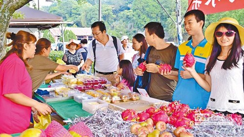 大陆客爱凤梨释迦台商大赚水果财(图)