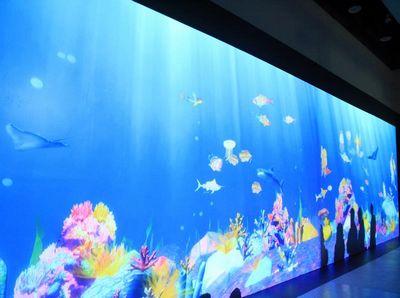 基隆海科馆特展着色水族箱超好玩(图)