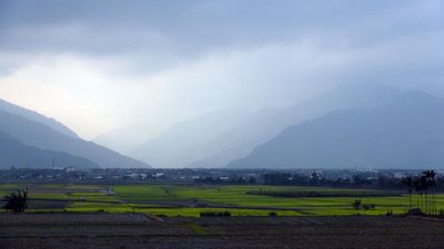 花海盛开旅行台东就是现在(图)