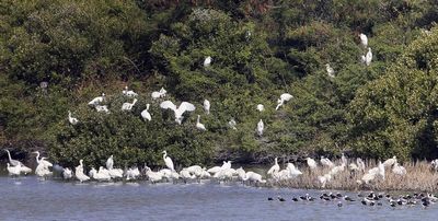 �����������������̨�ϼ�ǿ��⣨ͼ��