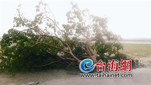 ̨����������̨����޵�ʩ��������ͻ��������