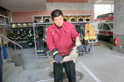 ̨�������ˮ��������������Ա����ͼ��