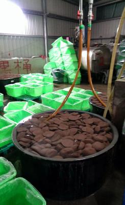 ����ѼѪ����ǫ̈̄��س�ƷԤ�����¼ܣ�ͼ��