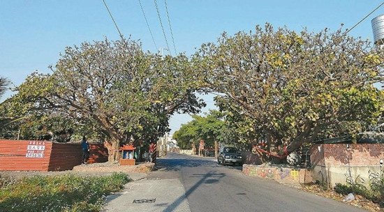 ̨�ϰ����ͩ��������������4�¿�����ͼ��