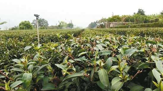 ����û����̨����Ͷ��������������ɣ�ͼ��