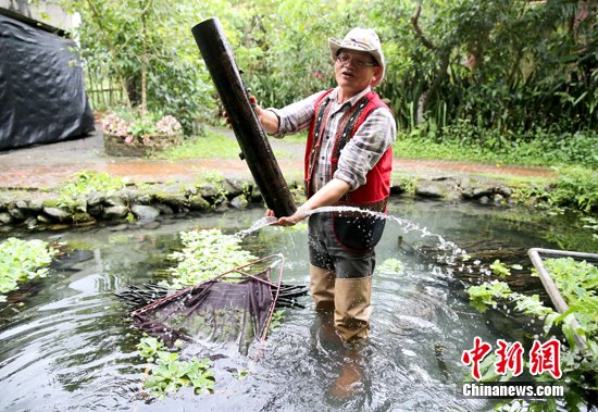 ̨��д�棺���ꡢ�ο͡���������ƫ�����ٻ�