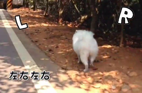 ����Ȯ��·ͬ��ͬ�ţ�ͼ��