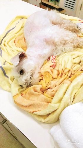 ���ӿ���ˮ������¥С�����һ��ȴ��ȳ��Ϲ