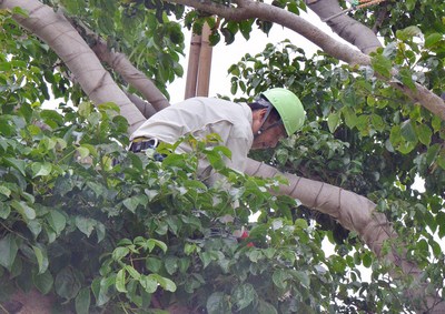 �������׼������Ժ���ձ���ҽ����Ĵָ��ͼ��