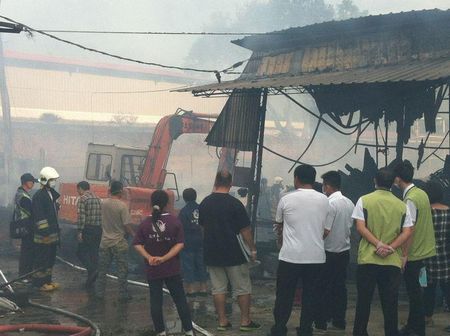 ���巢�������·���˫����������������������