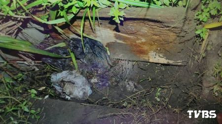 男子疑黑吃黑被强行掳走遭弃尸公墓废弃空棺