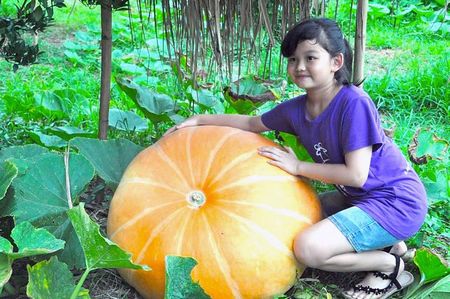 �����԰�ֳ������Ϲ��ο;�������Ϊ��ʯ����԰