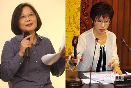 台媒:“实心柱”打“空心蔡”洪秀柱令人耳目一新