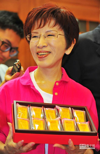洪秀柱拍竞选宣传照证实访美机率不高(图)