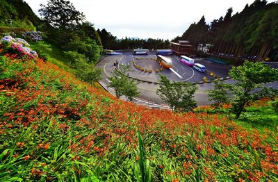 ����ɽ�������ʢ���ٺ컨����������ͼ��