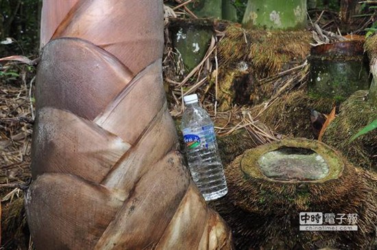 ̨�����������������ˮͰ��������οͣ�ͼ��