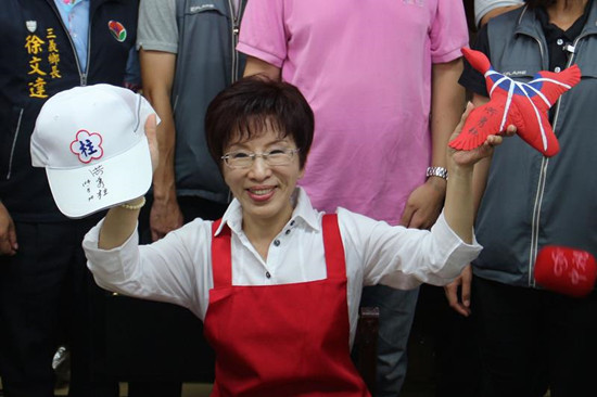 愿当领头雁洪秀柱向支持者喊话:低民调会翻盘