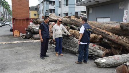 ̨������׬̨������Դ���Ư��ľ��������ͼ��