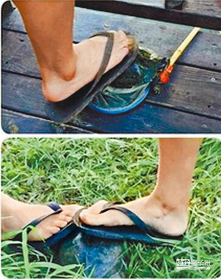 台北高中生集体虐龟拍照上传网站炫耀(图)