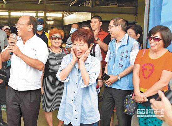 洪秀柱谈民意代表席次过半危机:我来当领头雁