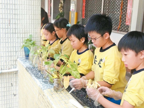 台北市严防登革热288所学校环境大扫除(图)