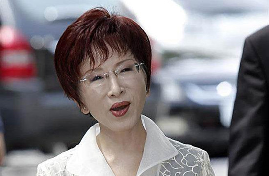 洪秀柱:坚持“台独”仍是民进党的基本主张