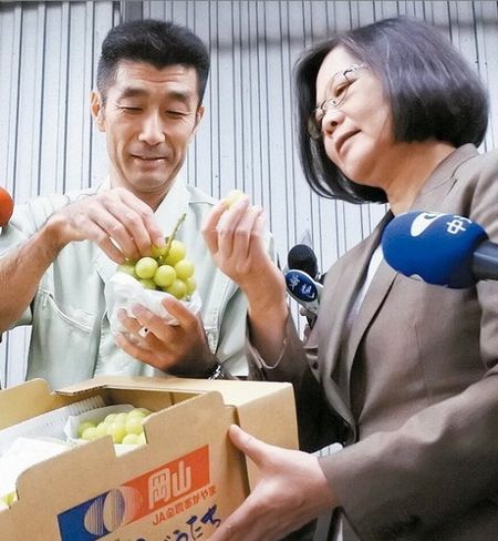 台湾“大选”前100天蔡英文:团队都准备好了