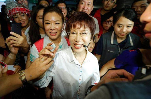 “换柱”后洪秀柱行动起来下周开始全力辅选