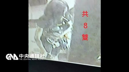 Ů��Ǳ�빫Ԣ͵8˫Ь�ƿ��Ų�����������ͼ��