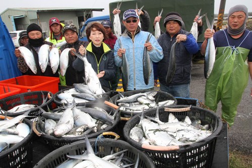 强寒流侵袭台南渔业损失逾千万新台币(图)
