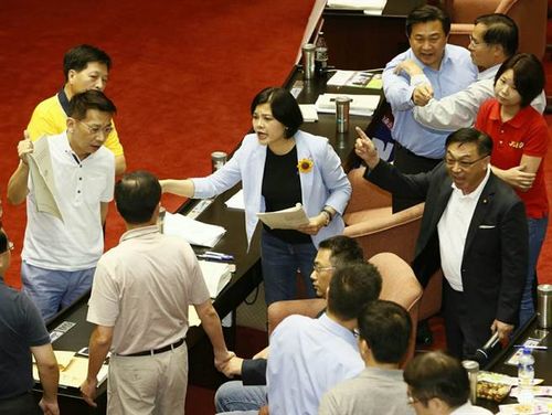 蓝绿恶斗再起台立法机构“表决大战”挨批“失心疯”