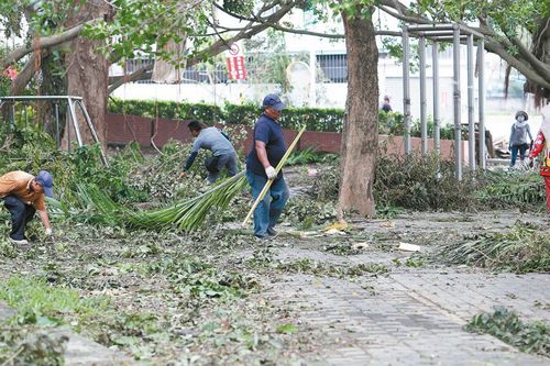 台风“莫兰蒂”重创果农全台农业损失近8亿台币