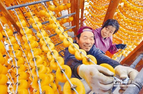 台当局拟解禁日本除福岛外4县市核灾食品蓝营痛批