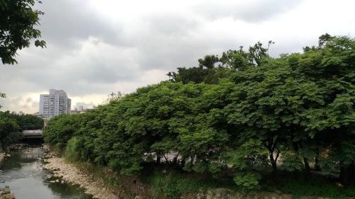 台湾部分地区明起易有短时强降雨
