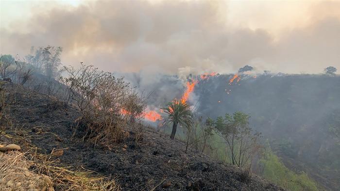 台湾发生杂草火警燃烧面积约2公顷现已扑灭（图）