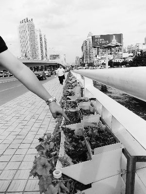 点图查看下一页