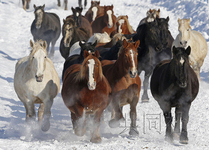 �ձ��������и����˶�������ĸ������������ͼ��