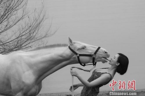 点图查看下一页