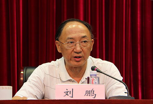 刘鹏局长在会议上讲话.